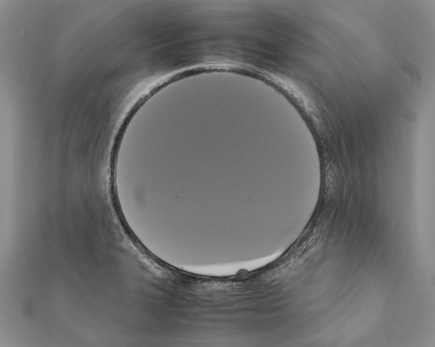 X0000111371327200908211310
