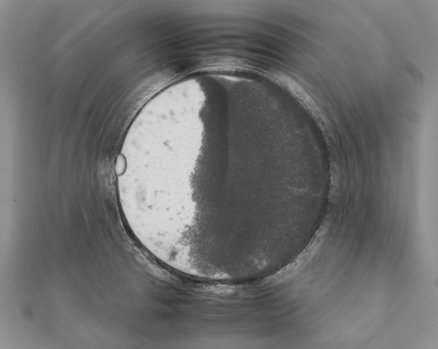 X0000111371329200908211310