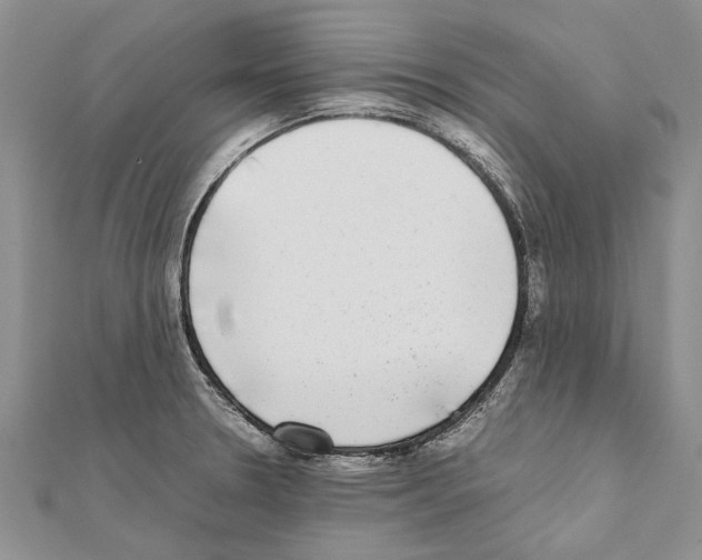 X0000111371330200908211310