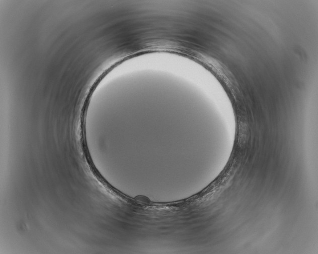 X0000111371331200908211310