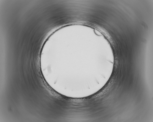 X0000111371332200908211310