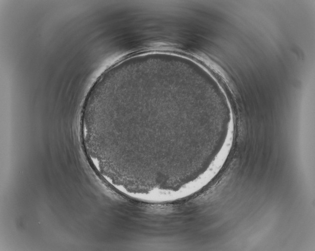 X0000111371333200908211310