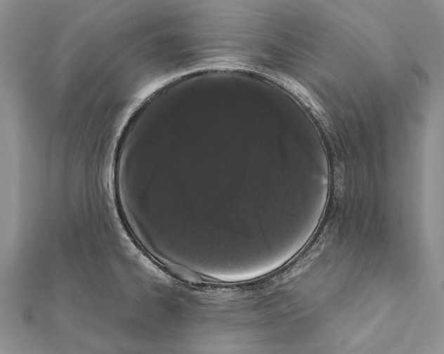 X0000111371334200908211310