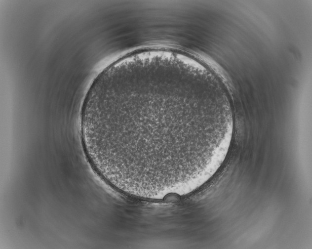 X0000111371335200908211310