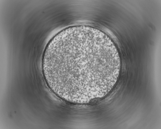 X0000111371336200908211310