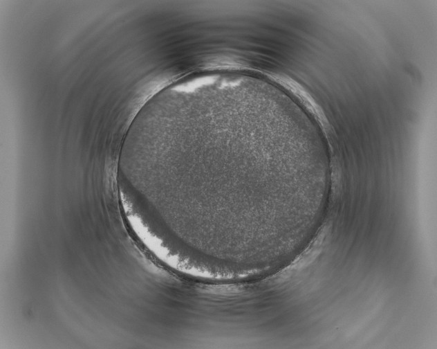 X0000111371337200908211310
