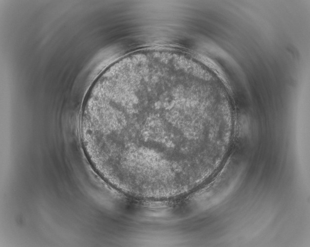 X0000111371338200908211310