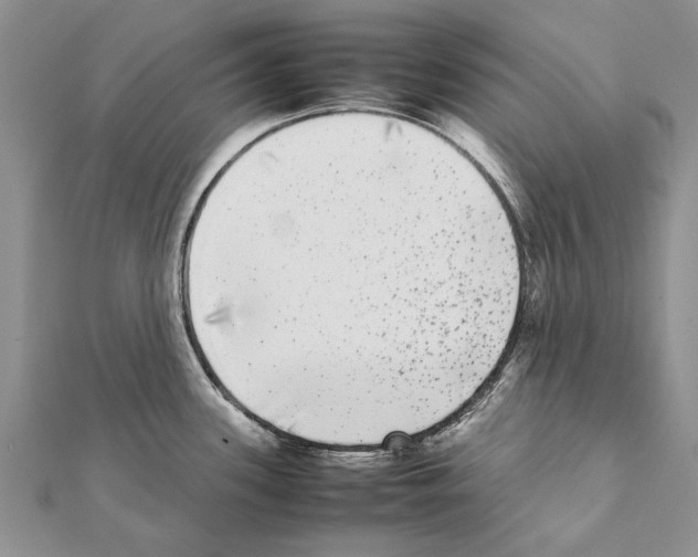 X0000111371339200908211310