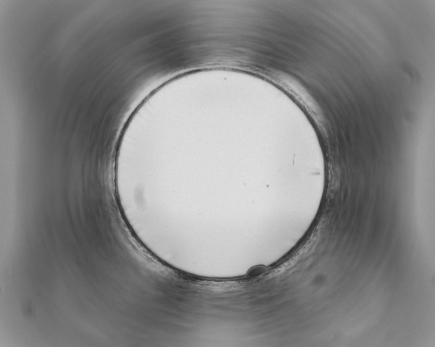X0000111371340200908211310
