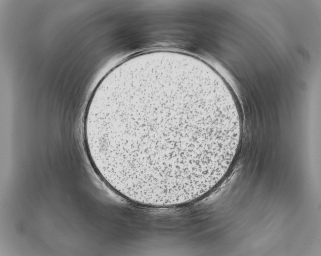 X0000111371341200908211310