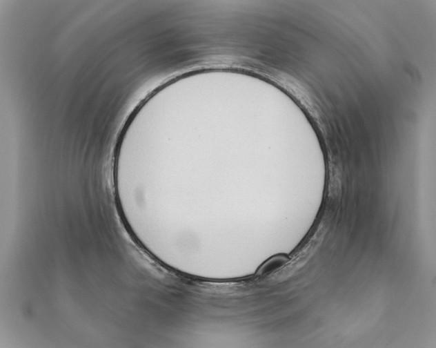 X0000111371342200908211310