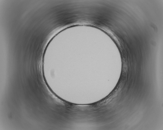 X0000111371343200908211310