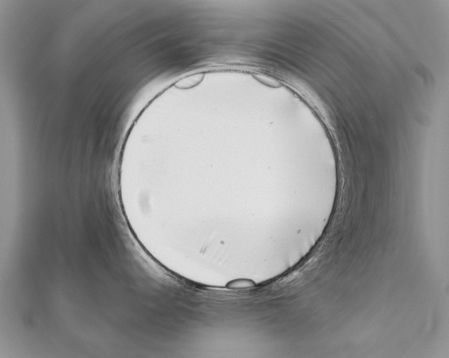 X0000111371344200908211310