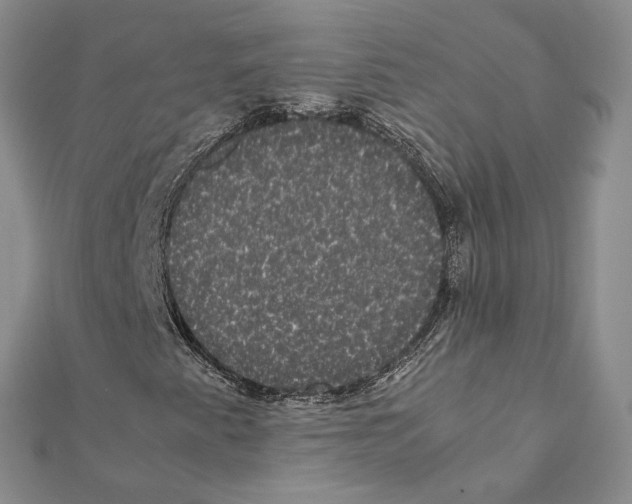 X0000111371345200908211309