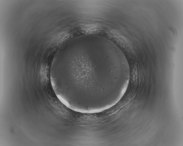 X0000111371346200908211309