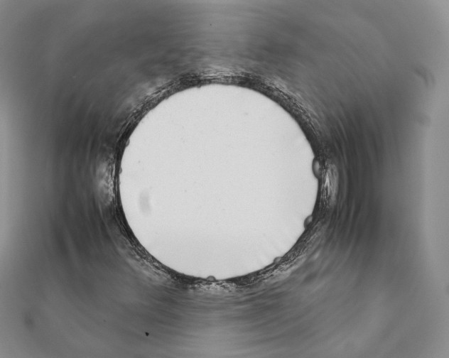 X0000111371348200908211309