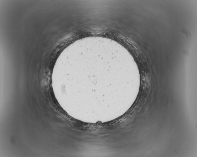 X0000111371349200908211309