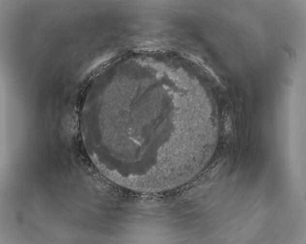 X0000111371350200908211309