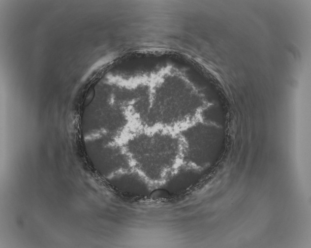 X0000111371351200908211309