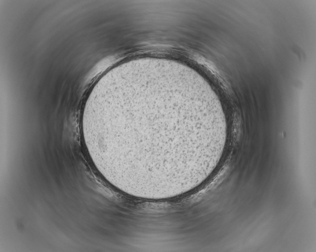 X0000111371354200908211309