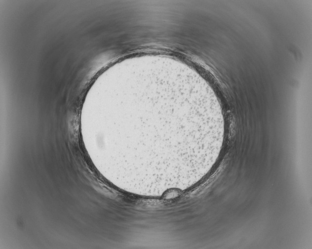 X0000111371355200908211309