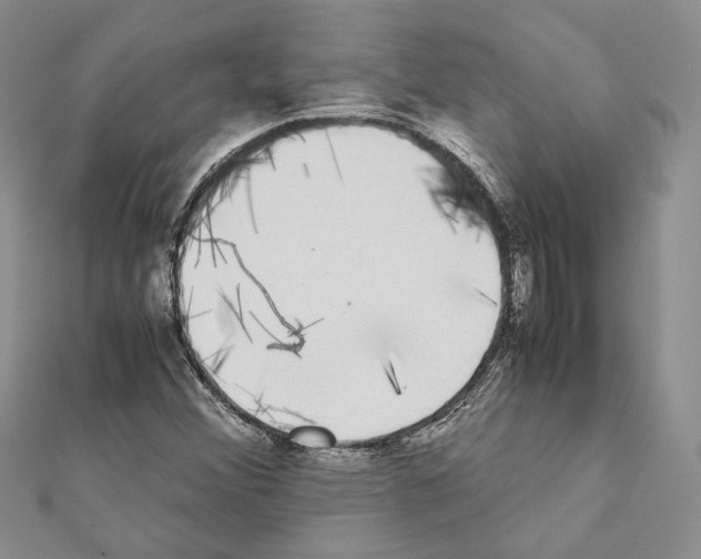 X0000111371356200908211309