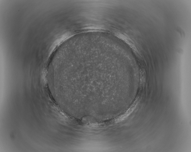 X0000111371357200908211309