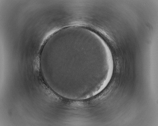 X0000111371358200908211309