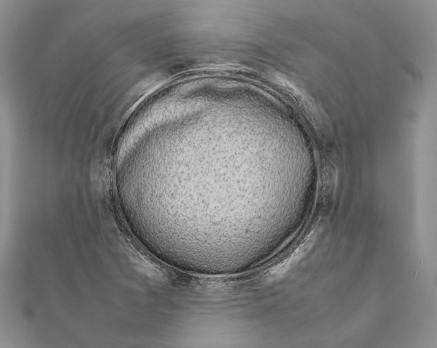 X0000111371361200908211309