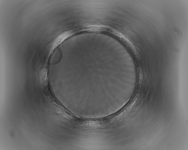 X0000111371362200908211309