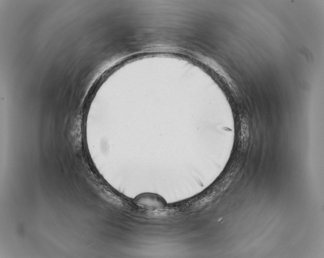 X0000111371364200908211309