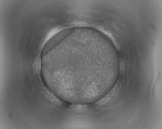 X0000111371365200908211309
