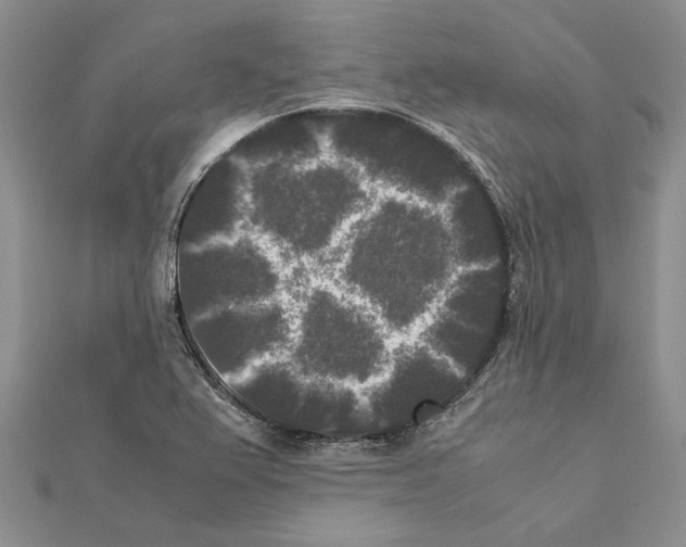 X0000111371367200908211309