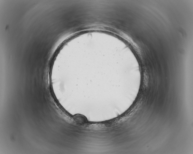 X0000111371368200908211309