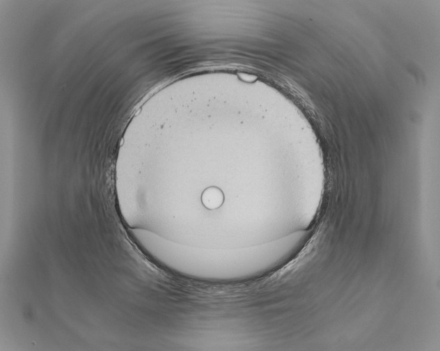 X0000111371369200908211309