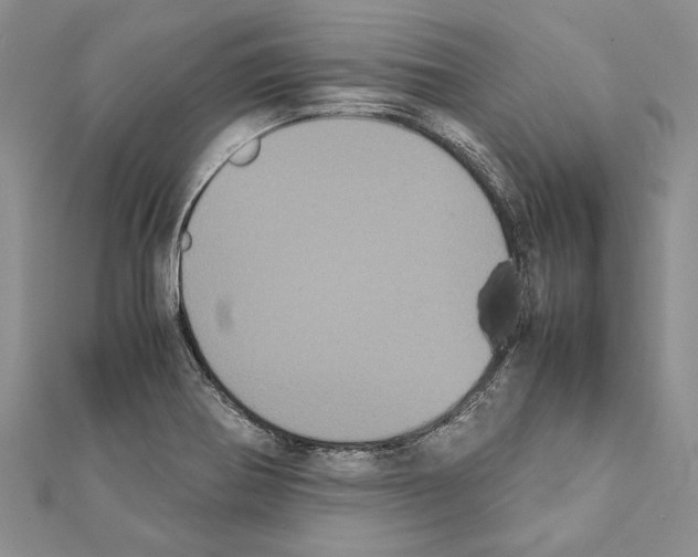X0000111371370200908211309