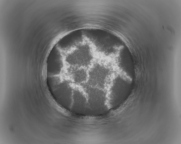 X0000111371371200908211309
