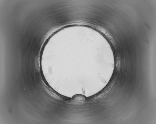 X0000111371372200908211309