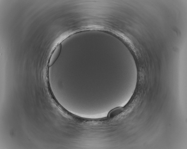 X0000111371373200908211309