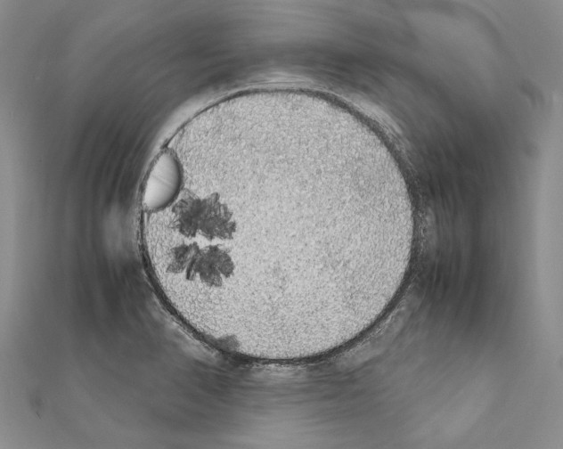 X0000111371374200908211309