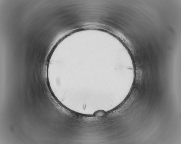 X0000111371376200908211309
