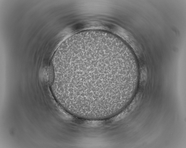 X0000111371377200908211309