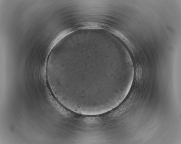 X0000111371378200908211309