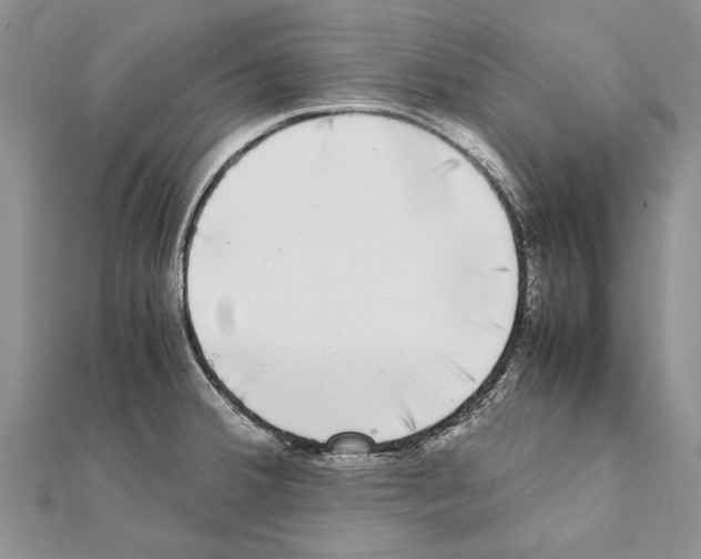 X0000111371380200908211309
