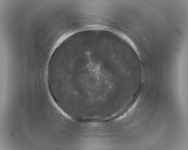 X0000111371381200908211309