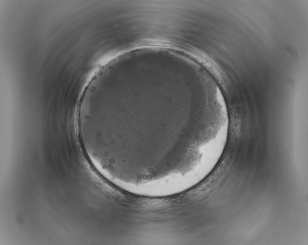 X0000111371382200908211309