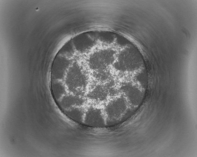 X0000111371383200908211309