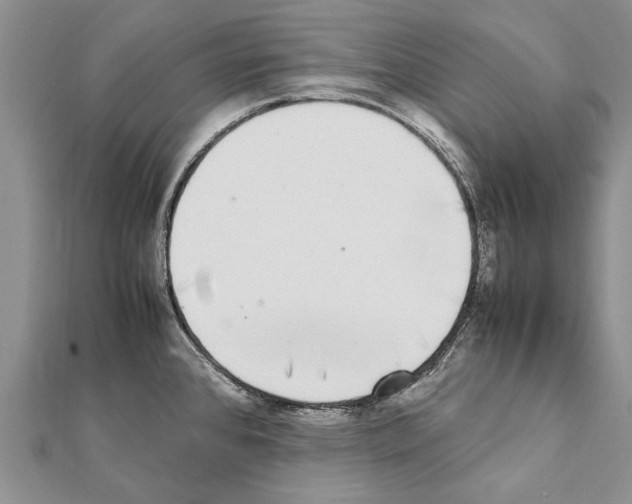 X0000111371384200908211309