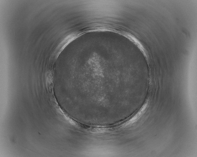 X0000111371385200908211309