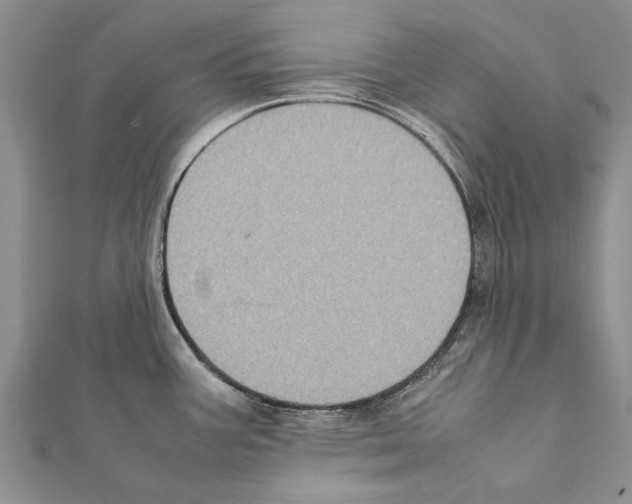 X0000111371387200908211309